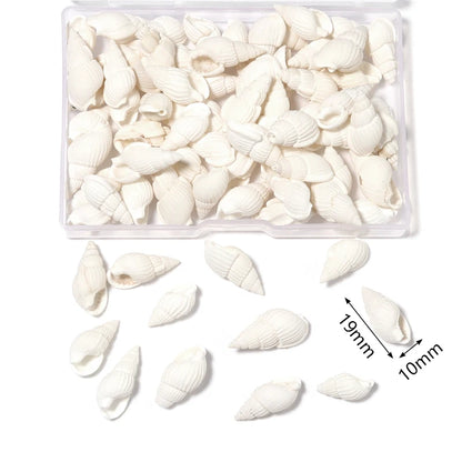 1 Box Tiny Sea Shells – Natural Spiral Seashell & Mini Conch Craft Pieces for Aquarium Decoration, Landscaping, DIY Crafts & Photography Props