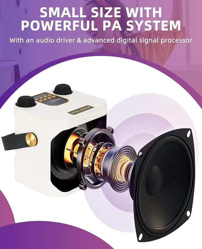 High-Power Portable Karaoke Bluetooth Speaker – 360° Stereo Surround Sound Waterproof Boombox with Wireless Subwoofer & 2 Microphones