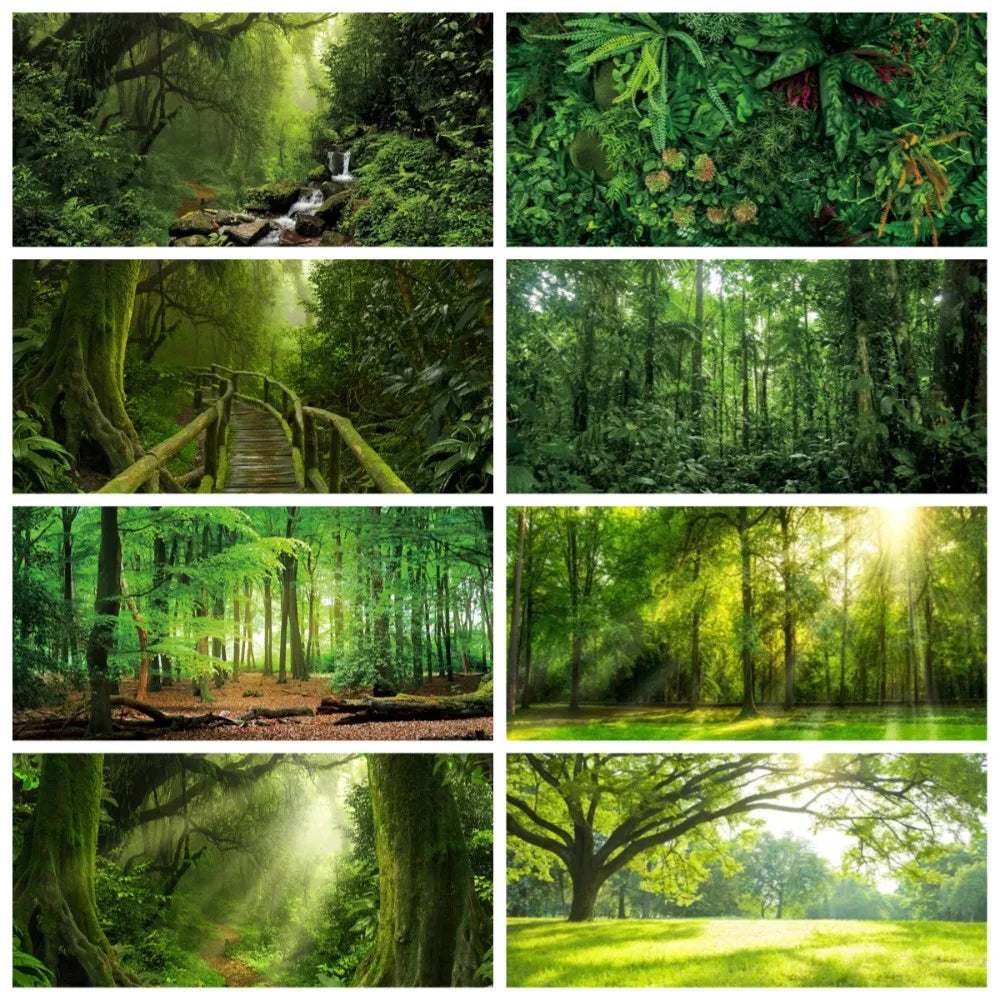 Tropical Jungle Rainforest Backdrop – Spring Forest Photography Background for Camping, Adventure, Birthday Parties & Photo Studio Decor