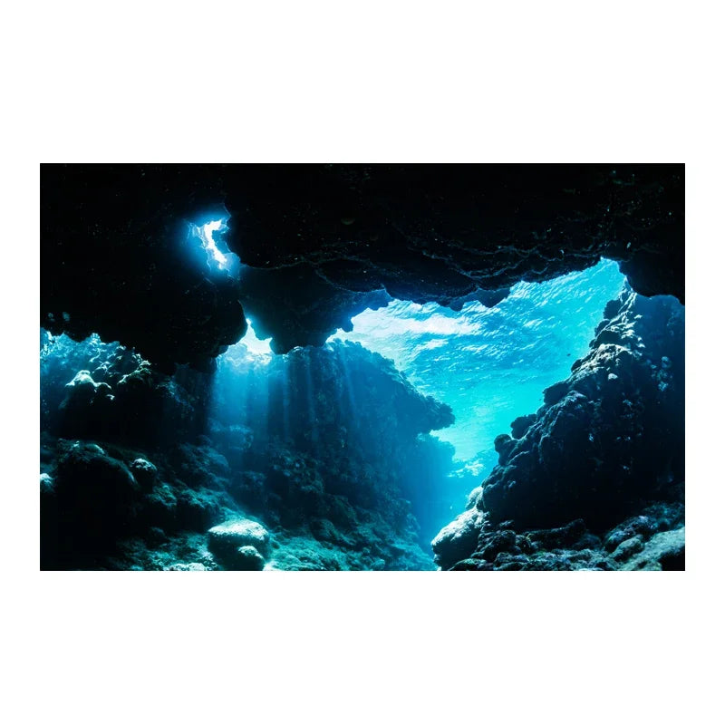 HD Cloud Aquarium Background Sticker – PVC Fish Tank Backdrop Wallpaper for Clear Underwater Scenery, Aquascaping & Aquarium Decoration
