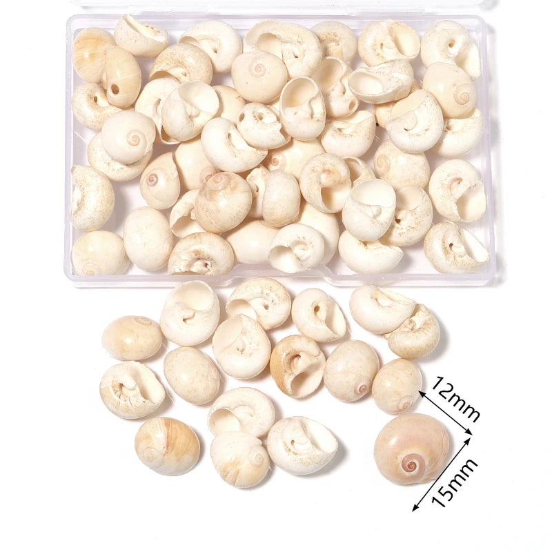 1 Box Tiny Sea Shells – Natural Spiral Seashell & Mini Conch Craft Pieces for Aquarium Decoration, Landscaping, DIY Crafts & Photography Props