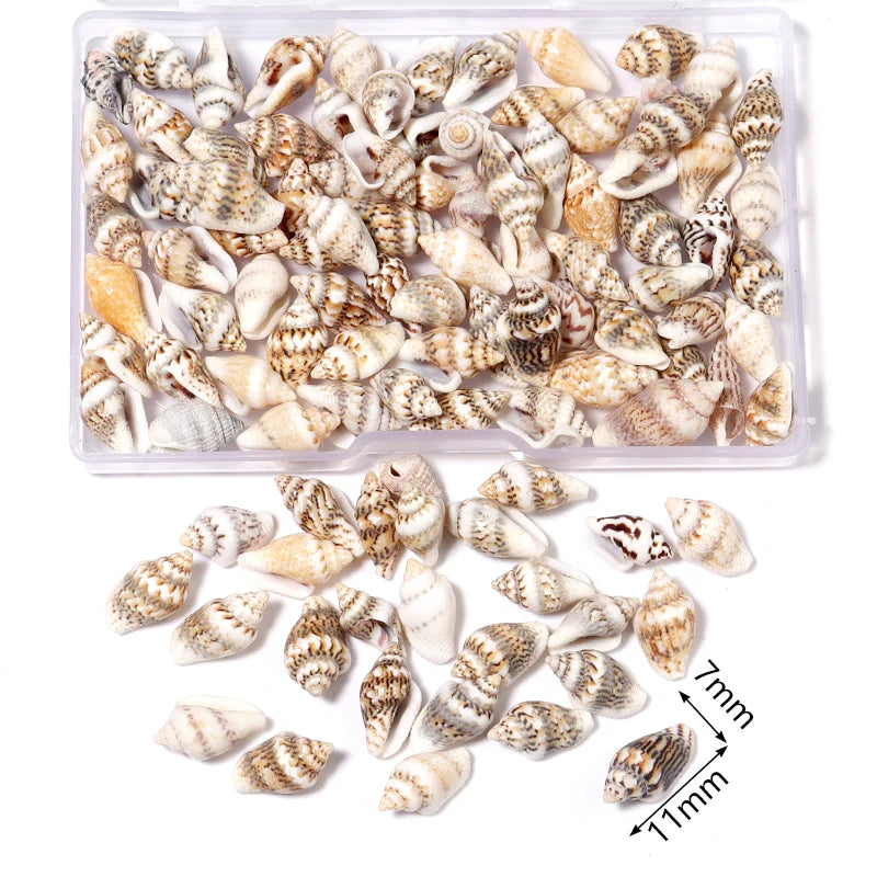 1 Box Tiny Sea Shells – Natural Spiral Seashell & Mini Conch Craft Pieces for Aquarium Decoration, Landscaping, DIY Crafts & Photography Props