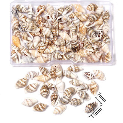 1 Box Tiny Sea Shells – Natural Spiral Seashell & Mini Conch Craft Pieces for Aquarium Decoration, Landscaping, DIY Crafts & Photography Props