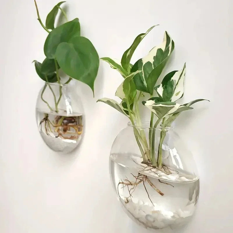 Wall Hanging Glass Terrarium Planter – Self-Watering Hydroponic Crystal Vase for Home & Office Décor (2/4/6 Pack)