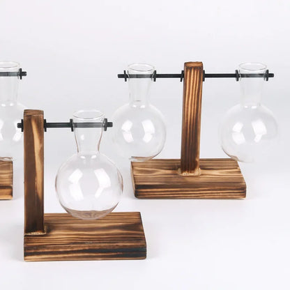 Glass Hydroponic Plant Terrarium Vase – Desktop Planter for Home, Office & Indoor Greenery Décor