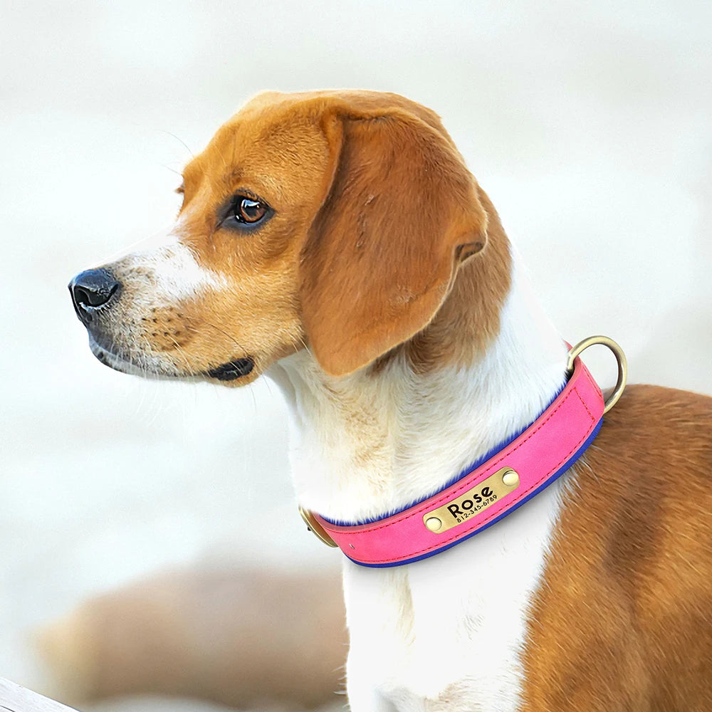 Collar de perro de piel sintética personalizado con placa de identificación grabada gratuita – Collar ajustable suave acolchado para perros pequeños, medianos y grandes