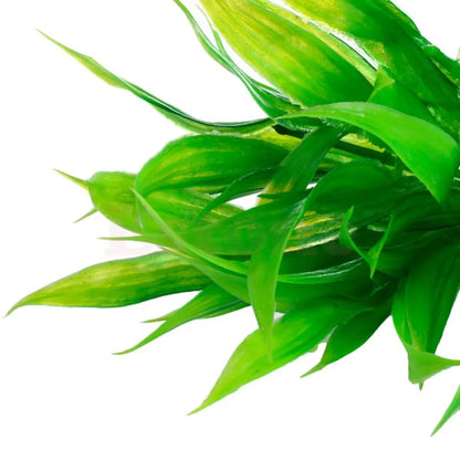 15cm Artificial Aquarium Plants – Realistic Aquatic Water Weed & Fish Tank Grass Decorations for Underwater Landscaping and Aquascaping
