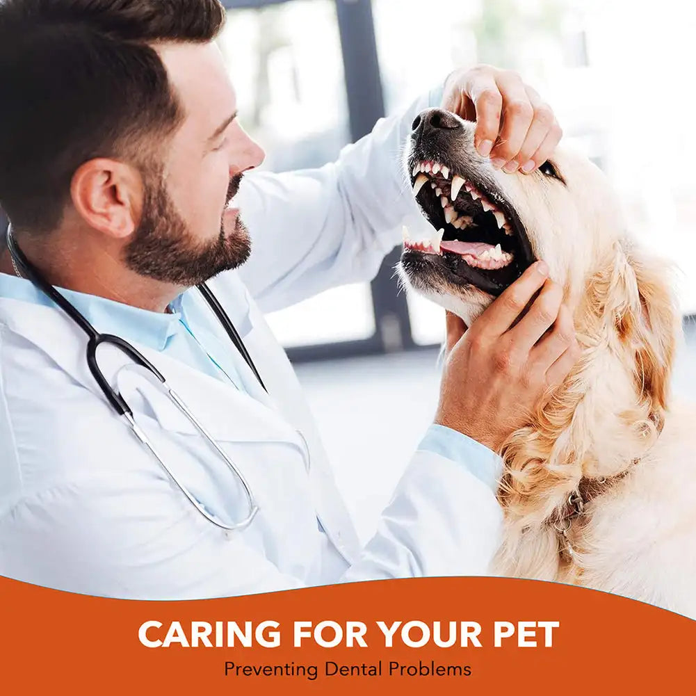 Pet Dog & Cat Toothbrush Soft Teeth Cleaning Brush for Oral Care, Bad Breath & Tongue Cleaner