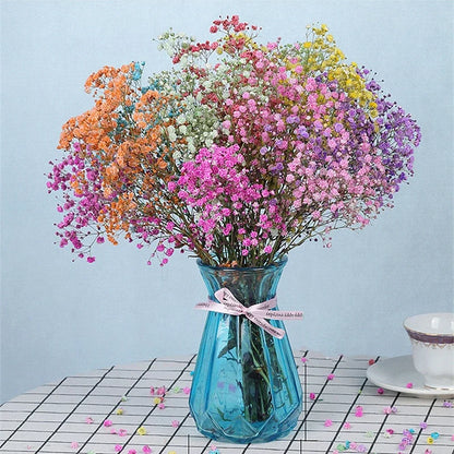 Flores de Paniculata Secas Naturales de 40-50cm – Ramo de Gypsophila Paniculata para Decoración de Bodas, Regalos y Decoración Floral del Hogar