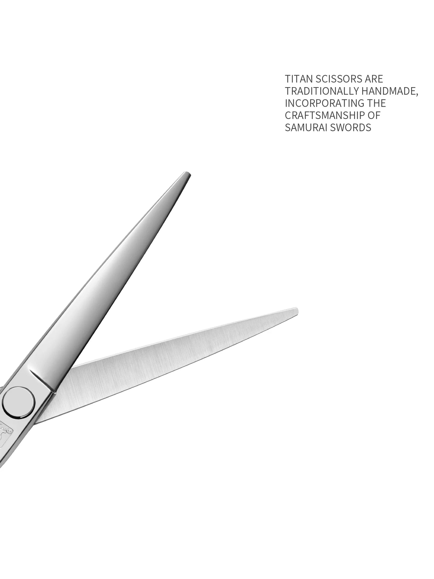 TITAN Professional Barber Scissors – Japan 440C Steel Hair Cutting & Thinning Shears | 5.0/5.5/6.0/6.5 Inch Hairdressing Tools