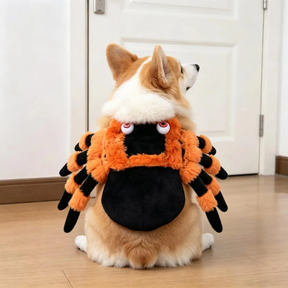 Funny Halloween Pet Transformation Costume – Cute Costume Outfit for Small Dogs & Cats, Creative Pet Clothing for Halloween Parties & Dress-Up