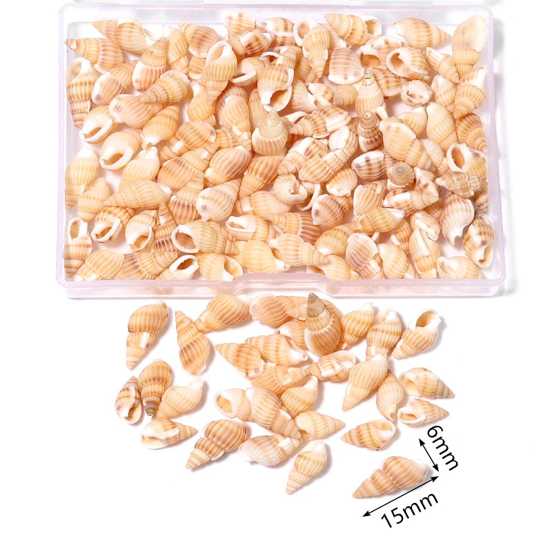 1 Box Tiny Sea Shells – Natural Spiral Seashell & Mini Conch Craft Pieces for Aquarium Decoration, Landscaping, DIY Crafts & Photography Props