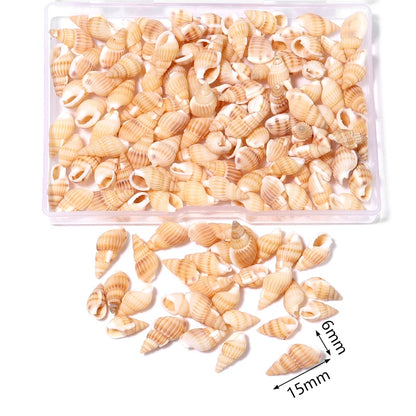 1 Box Tiny Sea Shells – Natural Spiral Seashell & Mini Conch Craft Pieces for Aquarium Decoration, Landscaping, DIY Crafts & Photography Props