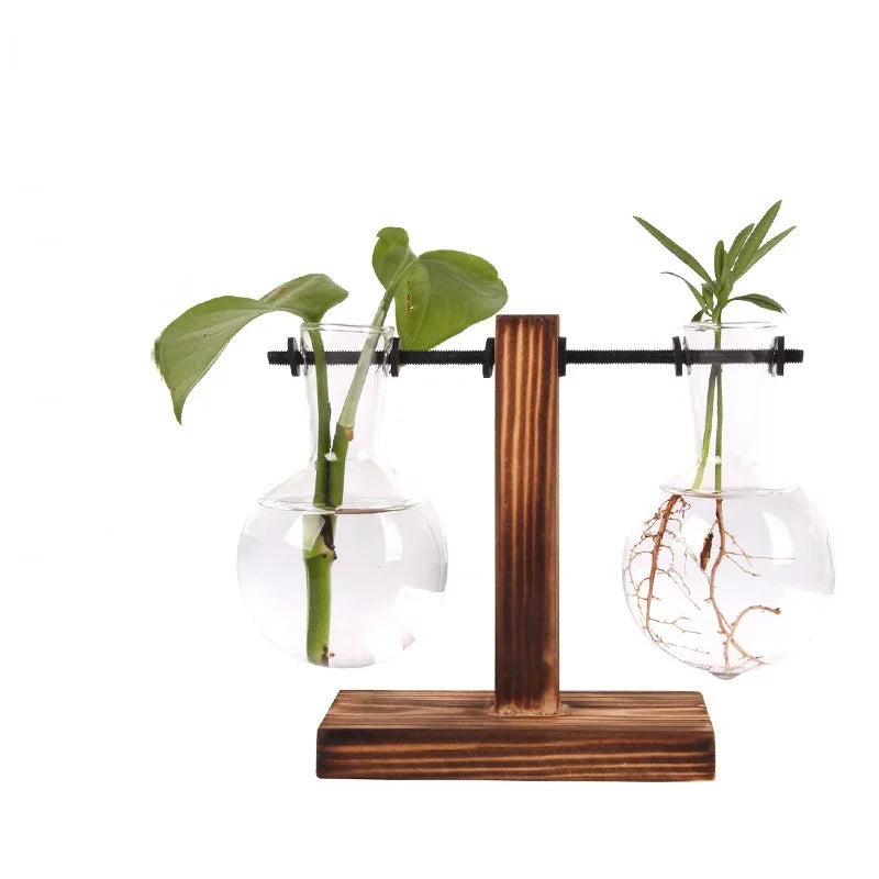 Glass Hydroponic Plant Terrarium Vase – Desktop Planter for Home, Office & Indoor Greenery Décor