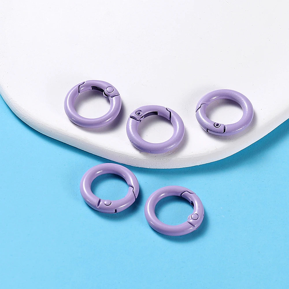 5-Piece Metal Spring O-Ring Carabiner Keychain Clips – Openable Round Buckle Connectors for DIY Keychains, Dog Chains & Jewelry Making