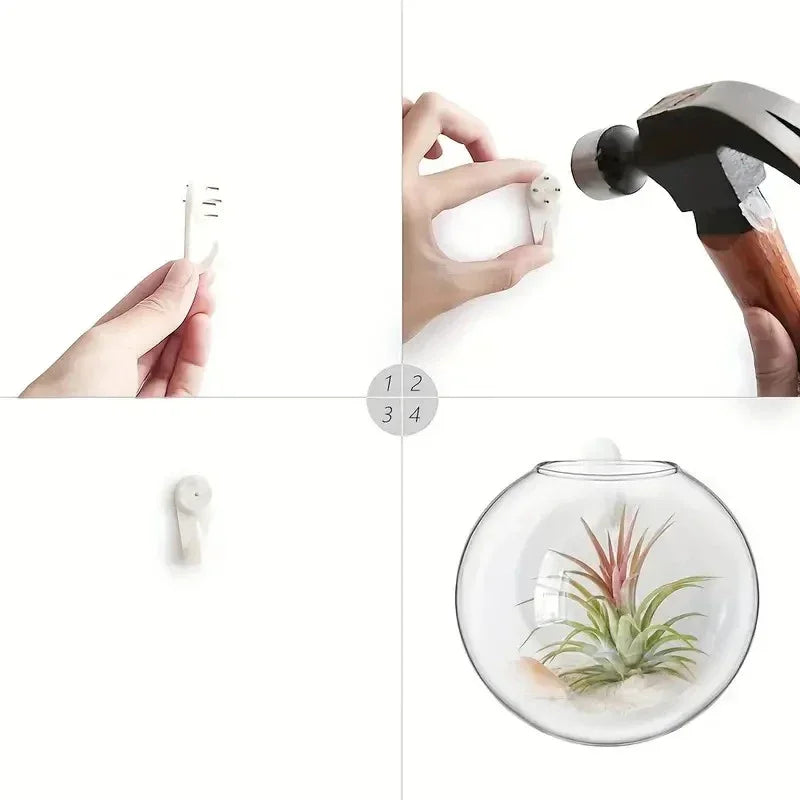 Wall Hanging Glass Terrarium Planter – Self-Watering Hydroponic Crystal Vase for Home & Office Décor (2/4/6 Pack)