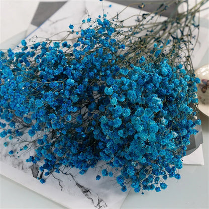 Flores de Paniculata Secas Naturales de 40-50cm – Ramo de Gypsophila Paniculata para Decoración de Bodas, Regalos y Decoración Floral del Hogar