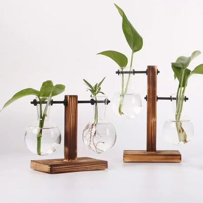 Glass Hydroponic Plant Terrarium Vase – Desktop Planter for Home, Office & Indoor Greenery Décor