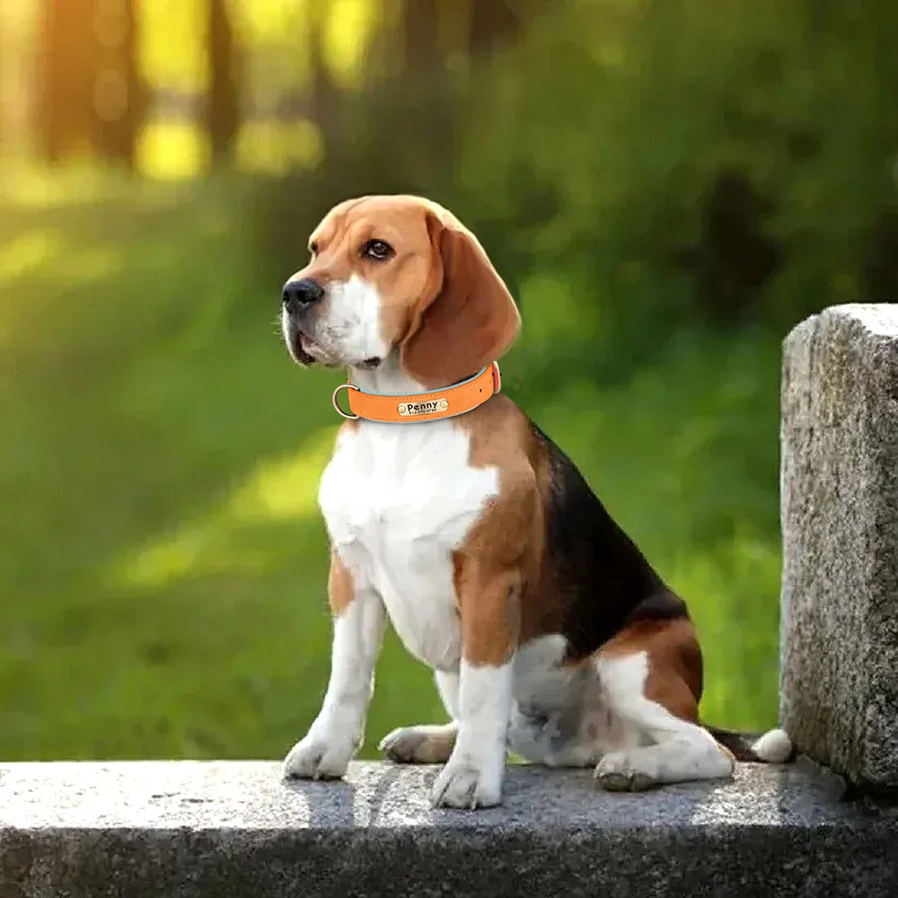 Collar de perro de piel sintética personalizado con placa de identificación grabada gratuita – Collar ajustable suave acolchado para perros pequeños, medianos y grandes