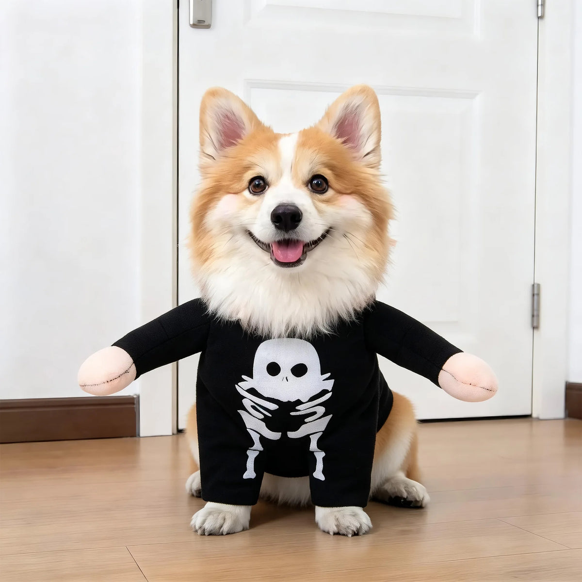 Funny Halloween Pet Transformation Costume – Cute Costume Outfit for Small Dogs & Cats, Creative Pet Clothing for Halloween Parties & Dress-Up