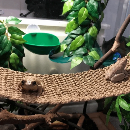 Reptile Climbing Hammock with Suction Cups – Breathable Mesh Hanging Net & Resting Bed for Lizards, Geckos & Small Reptiles