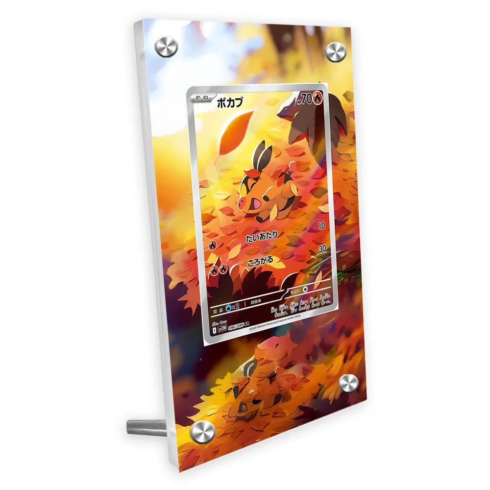 Estuche de exhibición de cartas acrílico Pokémon – Reshiram, Mewtwo, Zekrom, Charizard y soporte protector de cartas de personajes