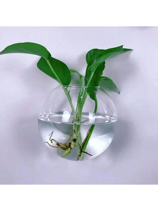 Jardinera terrario de cristal para colgar en la pared – Florero hidropónico de cristal con autorriego para decoración del hogar y la oficina (paquete de 2/4/6)