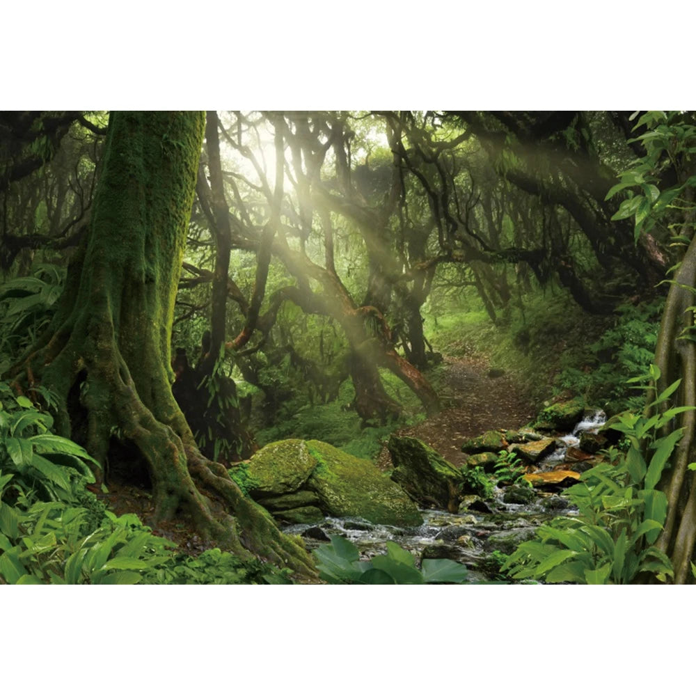 Tropical Jungle Rainforest Backdrop – Spring Forest Photography Background for Camping, Adventure, Birthday Parties & Photo Studio Decor
