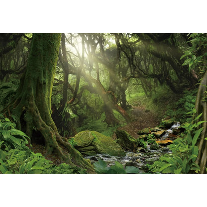 Tropical Jungle Rainforest Backdrop – Spring Forest Photography Background for Camping, Adventure, Birthday Parties & Photo Studio Decor