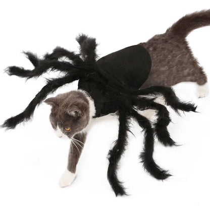 Cat Bat Wing Halloween Costume – Pet Bat Costume Dress with Wings for Cats & Small Dogs, Spooky Party Outfit