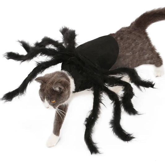 Cat Spider Halloween Costume – Pet Spider Costume Dress with Wings for Cats & Small Dogs, Spooky Party Outfit