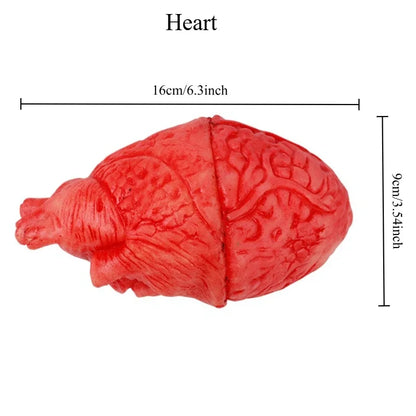 Halloween Fake Body Parts Props – Scary Bloody Human Brain, Heart, Hand, Finger, Leg & Foot Decorations for Halloween Parties, Haunted Houses & Horror Decor