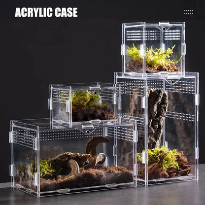 Clear Acrylic Reptile Terrarium Breeding Box – Transparent Nano Habitat Enclosure for Turtles, Arboreal Tarantulas, Bearded Dragons & Small Reptiles