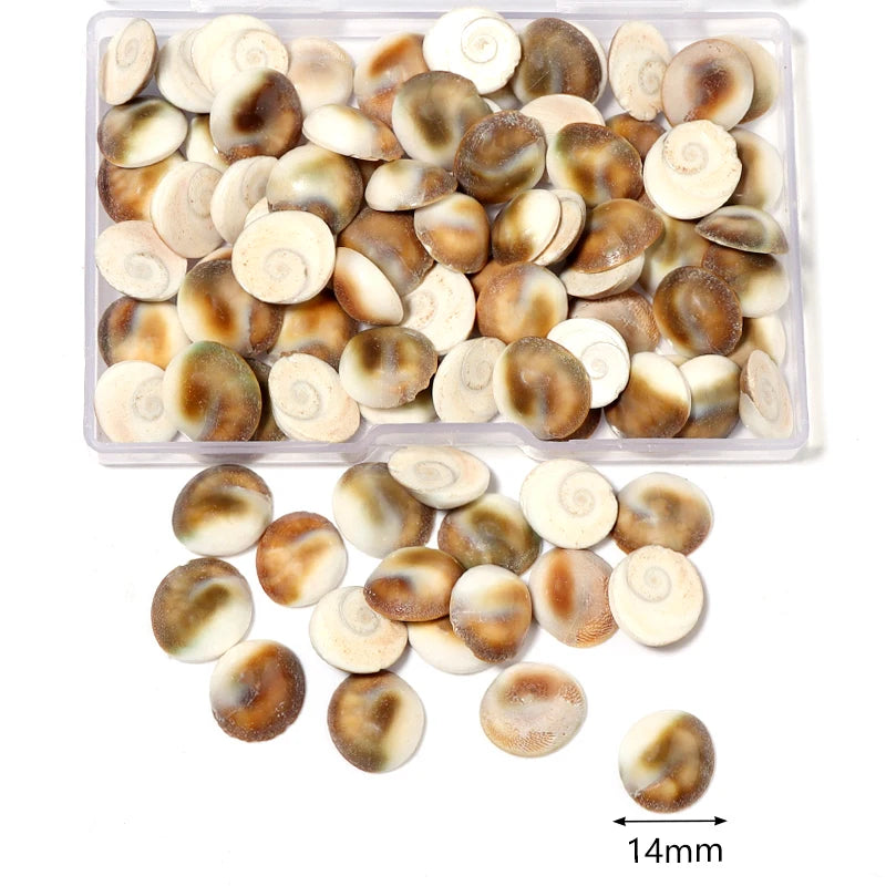 1 Box Tiny Sea Shells – Natural Spiral Seashell & Mini Conch Craft Pieces for Aquarium Decoration, Landscaping, DIY Crafts & Photography Props