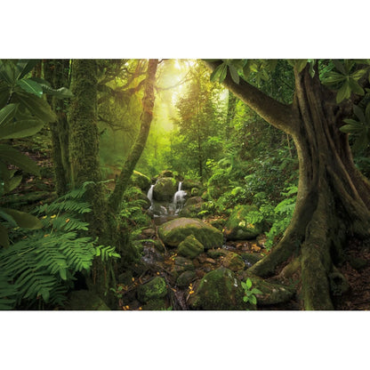 Tropical Jungle Rainforest Backdrop – Spring Forest Photography Background for Camping, Adventure, Birthday Parties & Photo Studio Decor