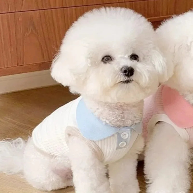 Camiseta de verano para perros, ligera, para cachorros, ropa transpirable para mascotas, camiseta para perros pequeños, ropa de primavera para perros