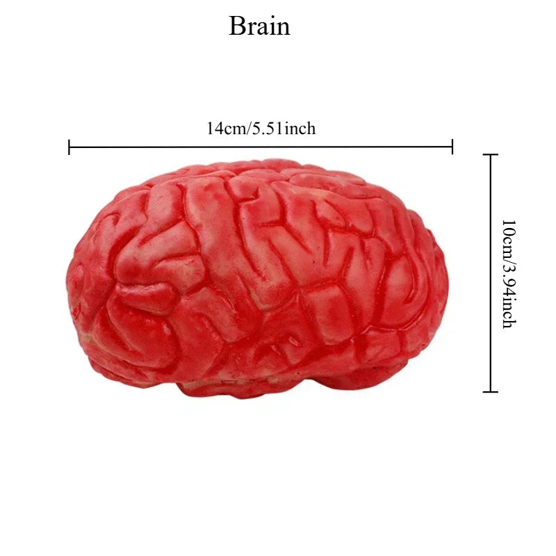 Halloween Fake Body Parts Props – Scary Bloody Human Brain, Heart, Hand, Finger, Leg & Foot Decorations for Halloween Parties, Haunted Houses & Horror Decor