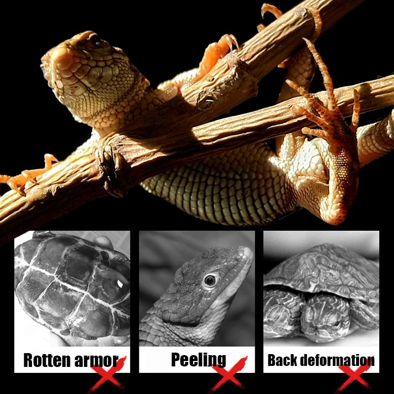 Reptile UVA UVB Heat Lamp Holder – Rotatable Dimmable Basking Spot Light with Simulated Sunlight for Turtles, Lizards & Terrariums, 220-240V