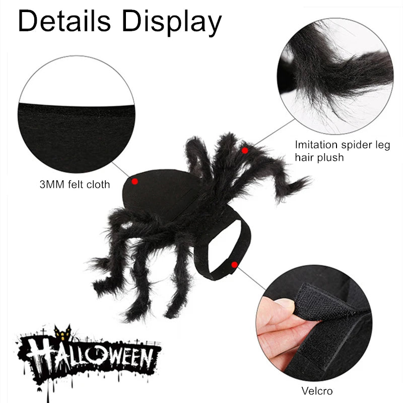 Cat Bat Wing Halloween Costume – Pet Bat Costume Dress with Wings for Cats & Small Dogs, Spooky Party Outfit