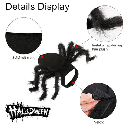 Cat Bat Wing Halloween Costume – Pet Bat Costume Dress with Wings for Cats & Small Dogs, Spooky Party Outfit