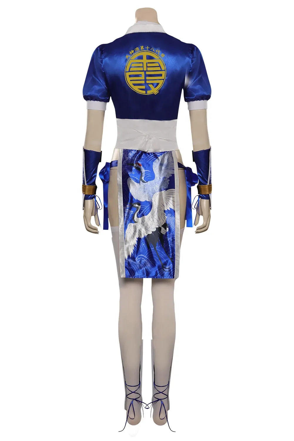 Dead or Alive Anime Cosplay Costume for Women – Fighting Game Roleplay Outfit for Halloween, Carnival & Party Wear