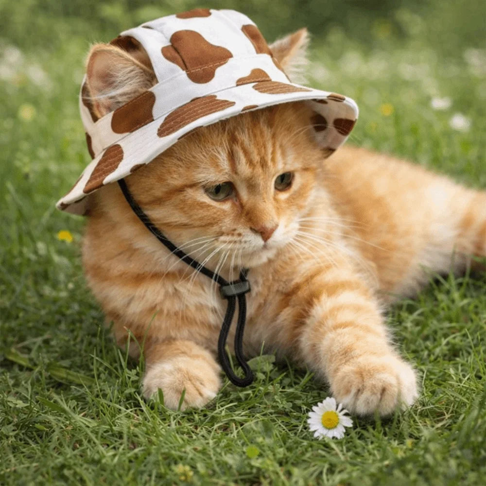 Adjustable Dog Sun Hat – Cute Breathable Pet Fisherman Cap with Ear Holes for Small Dogs & Cats, Puppy Photography Hat