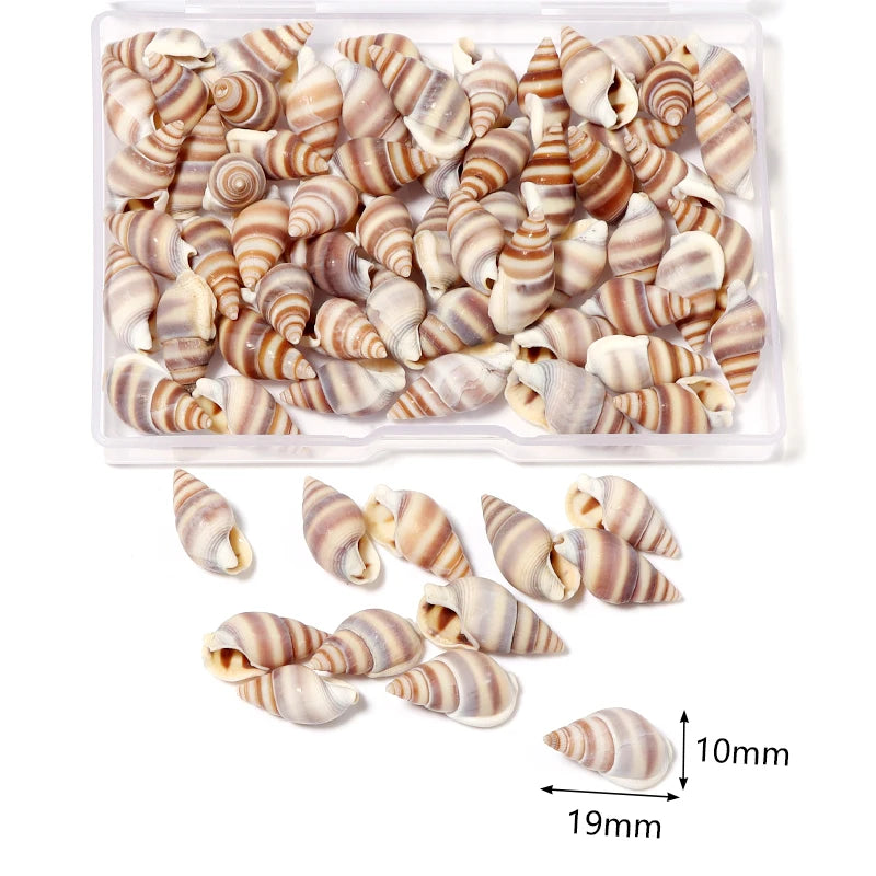 1 Box Tiny Sea Shells – Natural Spiral Seashell & Mini Conch Craft Pieces for Aquarium Decoration, Landscaping, DIY Crafts & Photography Props