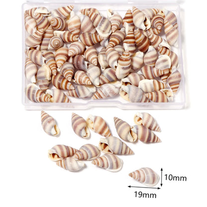 1 Box Tiny Sea Shells – Natural Spiral Seashell & Mini Conch Craft Pieces for Aquarium Decoration, Landscaping, DIY Crafts & Photography Props