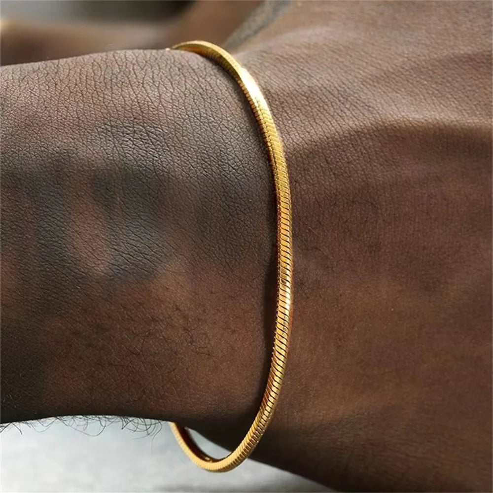 Hip Hop Stainless Steel Snake Chain Bracelet – Trendy Unisex Snake Bone Link Chain Bracelet for Men & Women | Party Jewelry