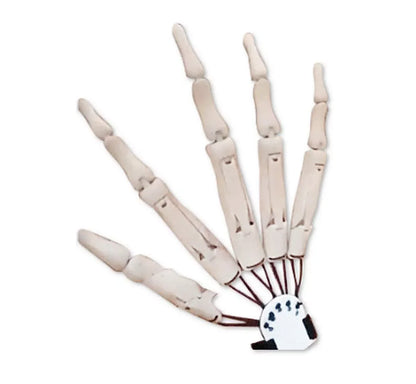 3D Printed Halloween Articulated Finger Extensions – Flexible Movable Long Finger Claw Props for Cosplay, Costumes & Spooky Decorations