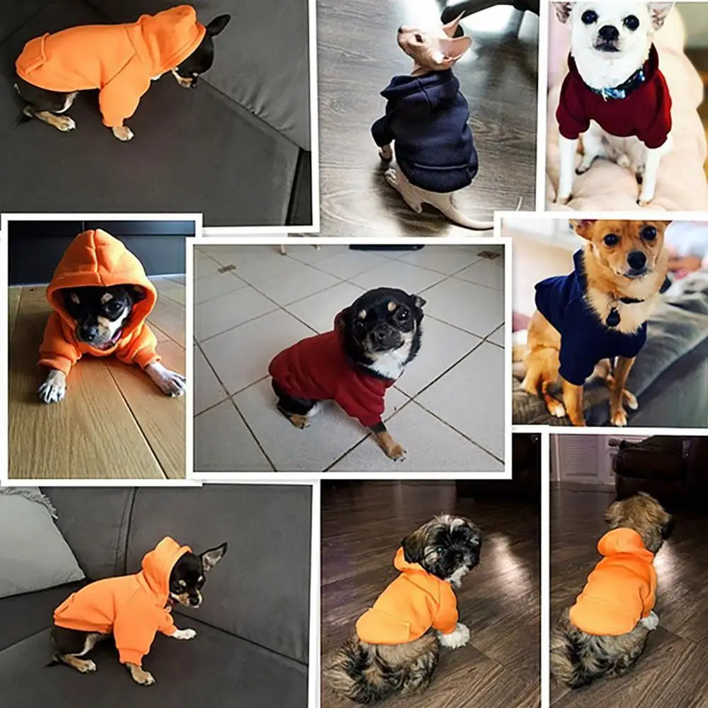 Winter Dog Hoodie Jacket – Warm Sweatshirt Coat for Small & Medium Dogs, Cozy Puppy Clothes for Chihuahuas, Bulldogs & Autumn Wear
