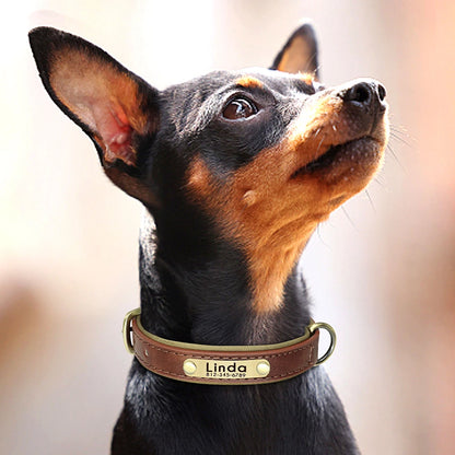 Collar de perro de piel sintética personalizado con placa de identificación grabada gratuita – Collar ajustable suave acolchado para perros pequeños, medianos y grandes