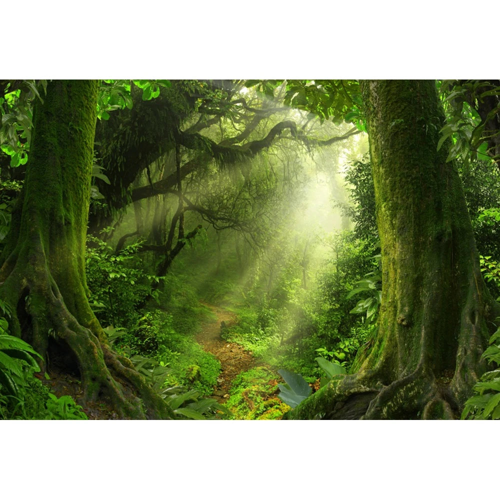 Tropical Jungle Rainforest Backdrop – Spring Forest Photography Background for Camping, Adventure, Birthday Parties & Photo Studio Decor