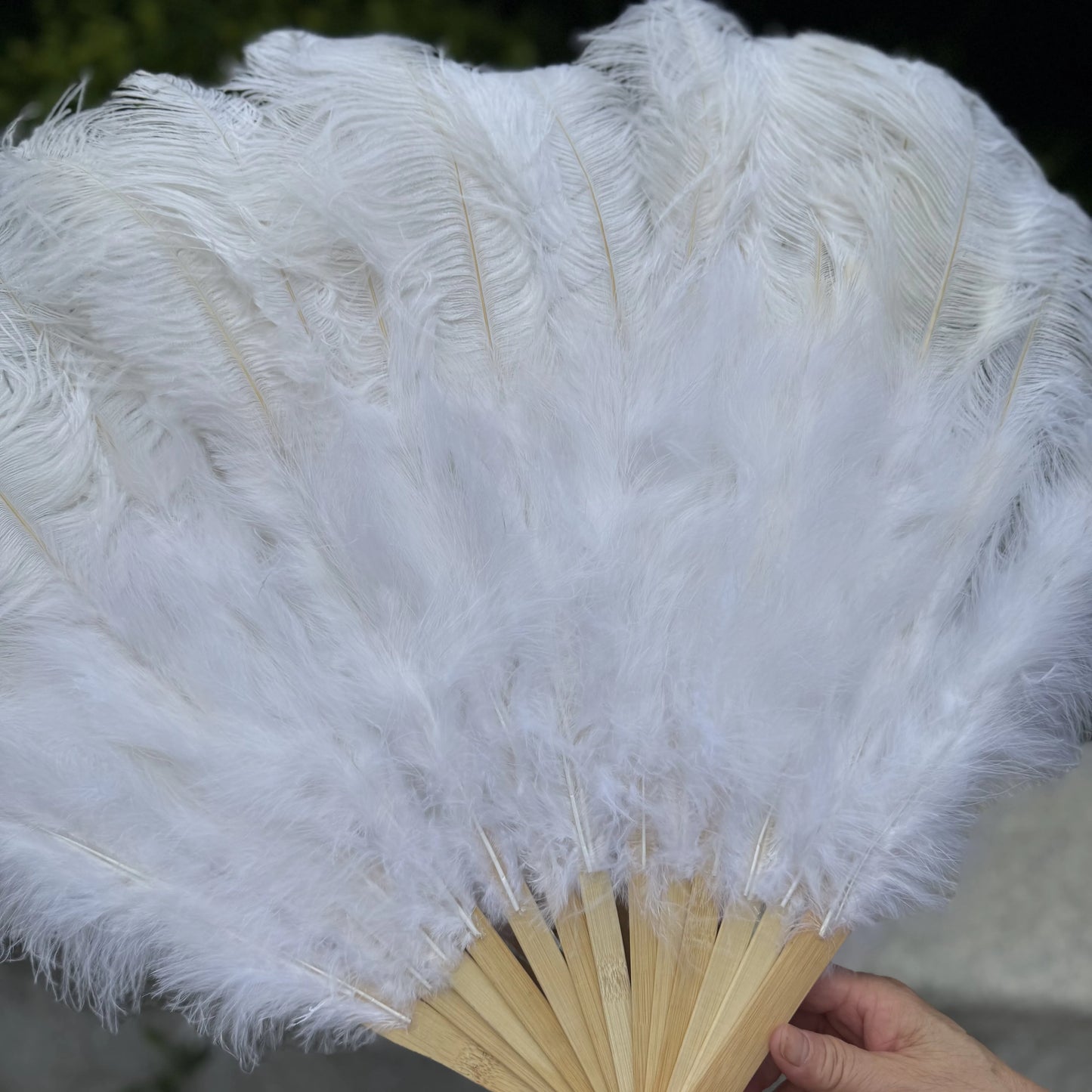 Abanico Grande de Plumas de Avestruz Blancas – Elegante Abanico para Baile y Actuaciones Escénicas (100 cm / 130 cm)
